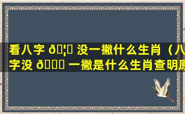 看八字 🦁 没一撇什么生肖（八字没 🐛 一撇是什么生肖查明原因）